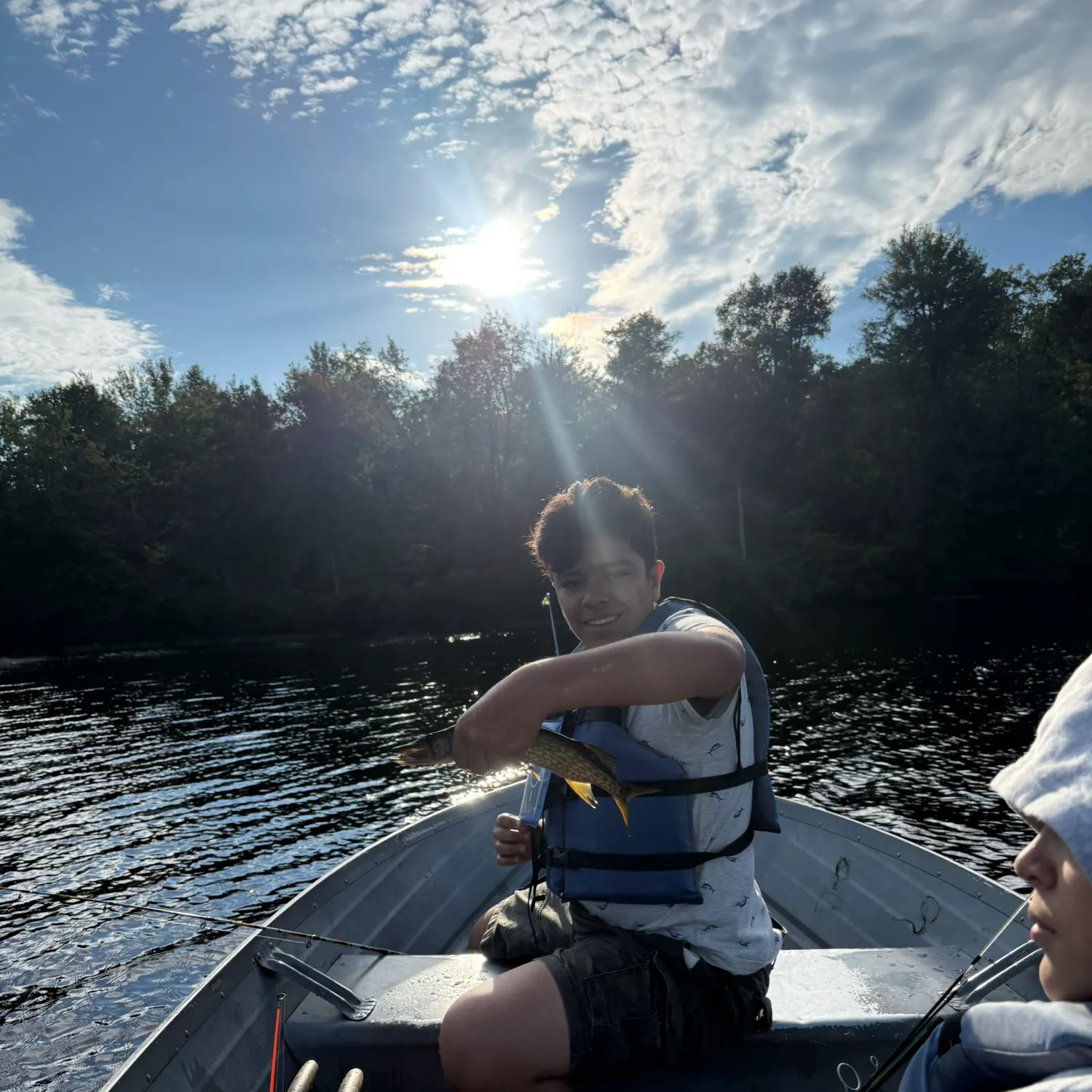 Chain pickerel caught on Fishbrain