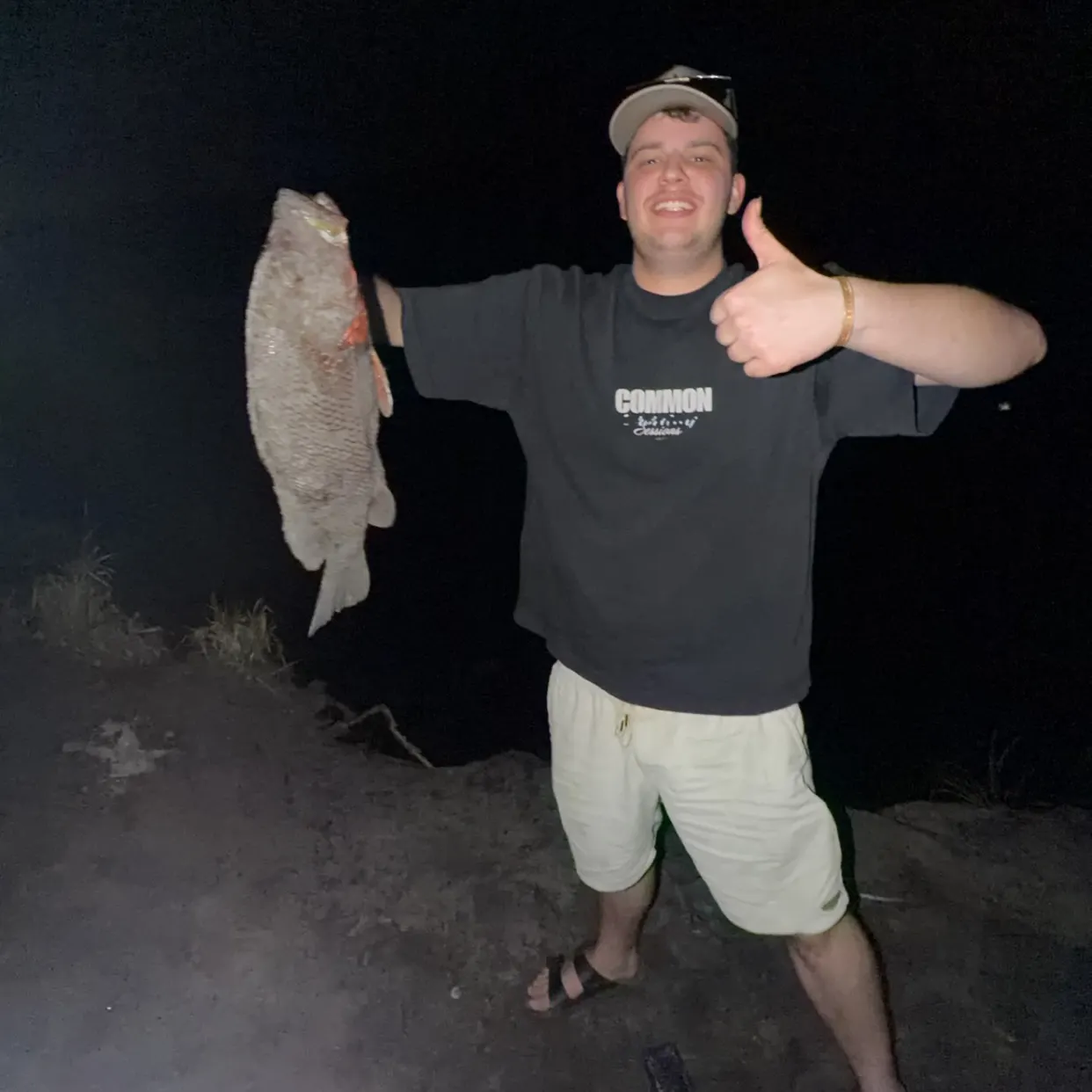 The most recent Mangrove red snapper catches on Fishbrain