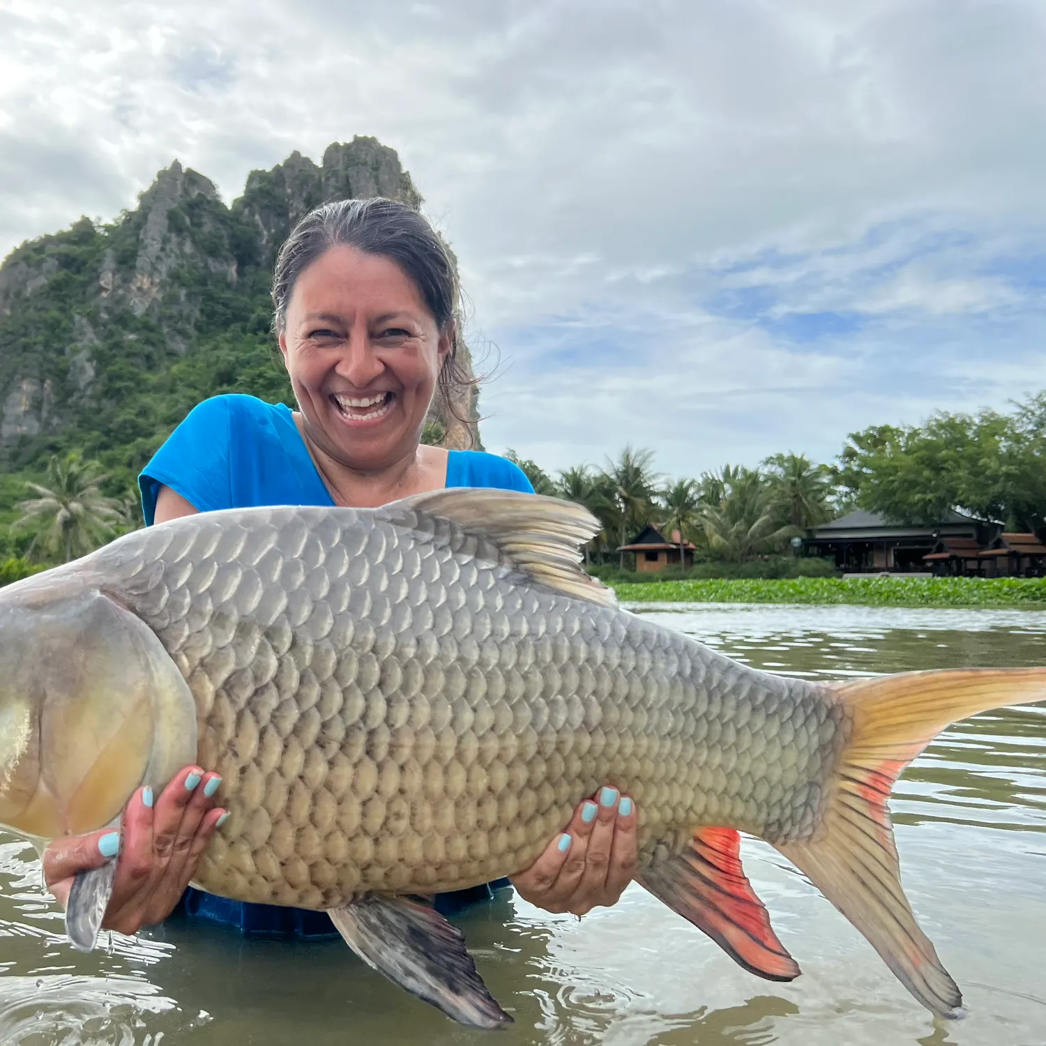 The most recent Siamese carp catches on Fishbrain