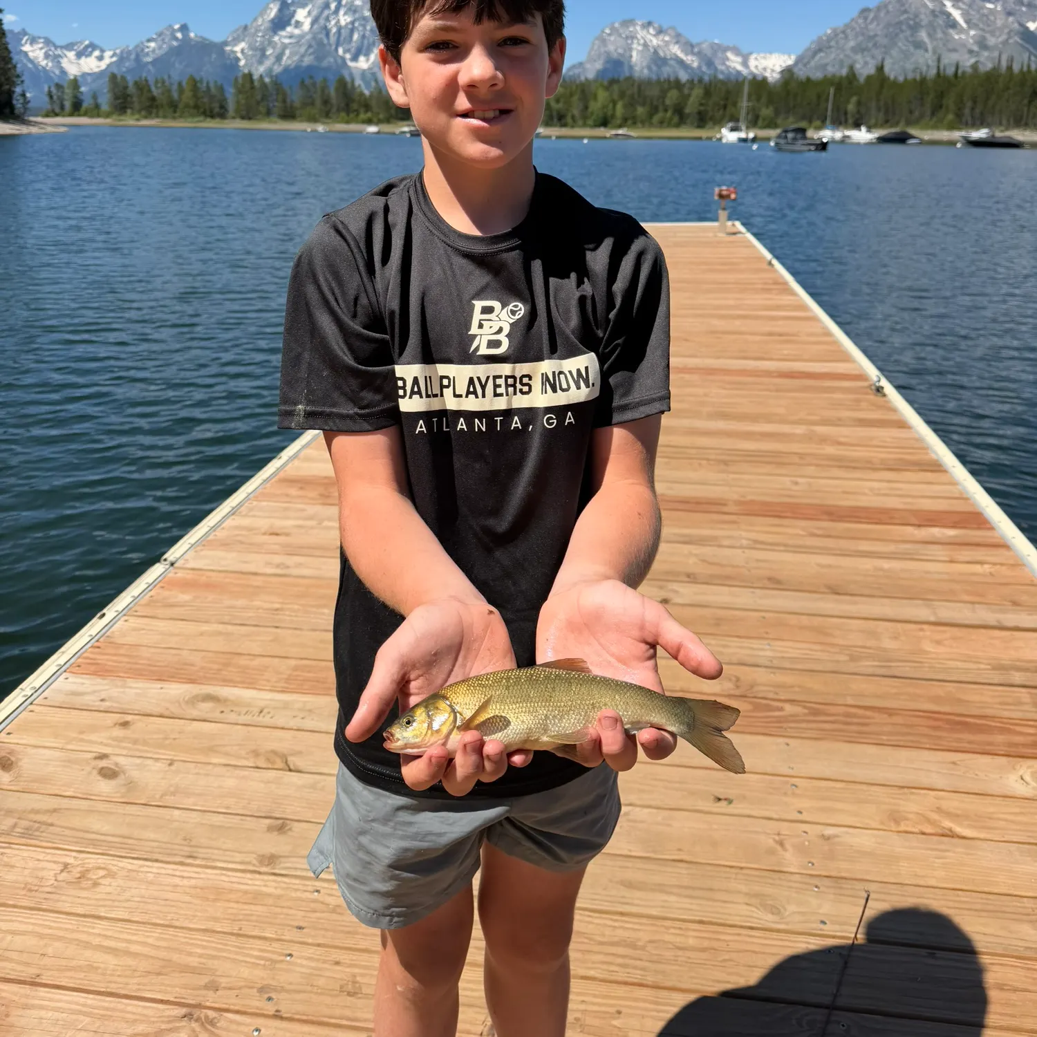 The most recent Lake whitefish catches on Fishbrain