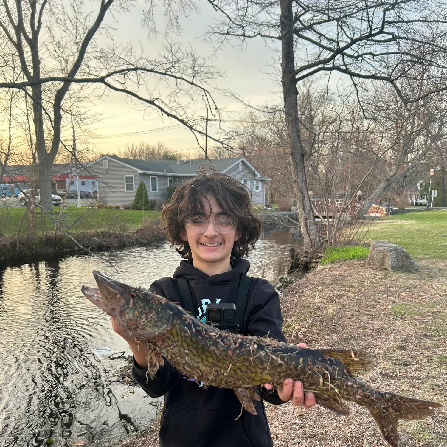 The most recent Chain pickerel catches on Fishbrain