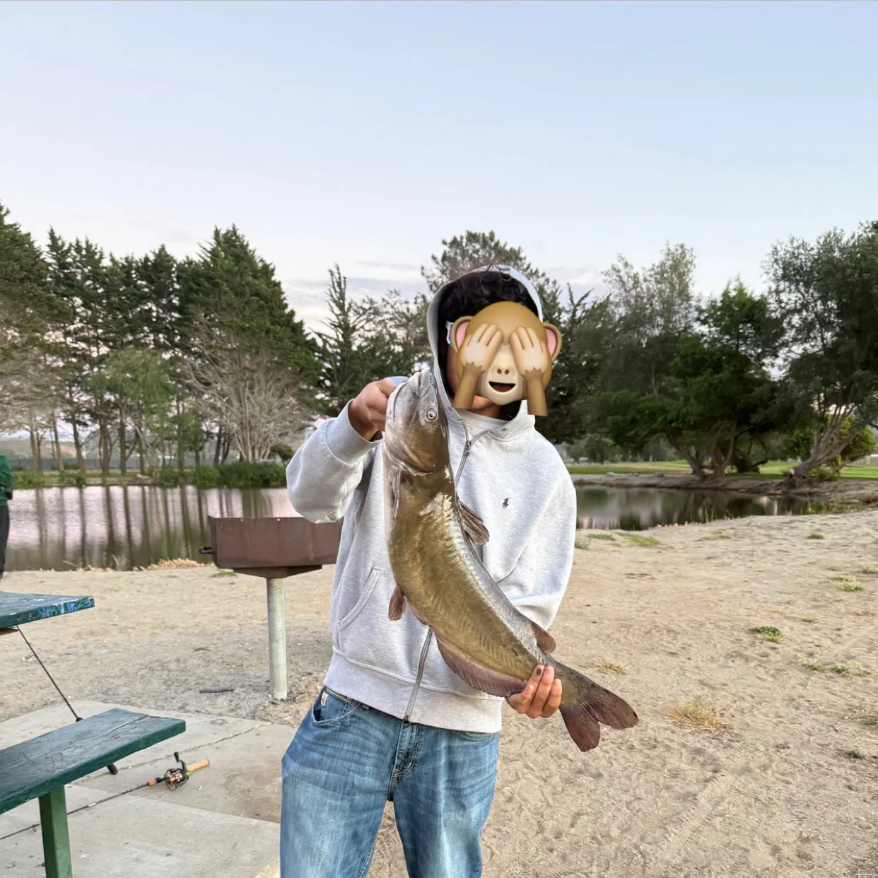 Channel catfish caught on Fishbrain