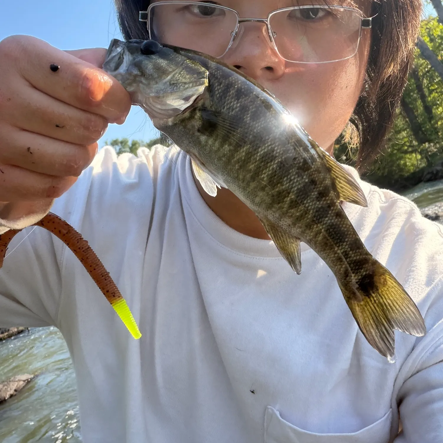 The most recent Shoal bass catches on Fishbrain