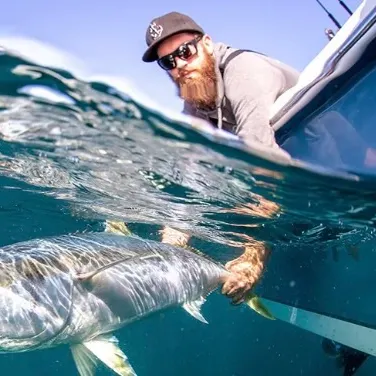 Narrow-barred Spanish mackerel caught on Fishbrain