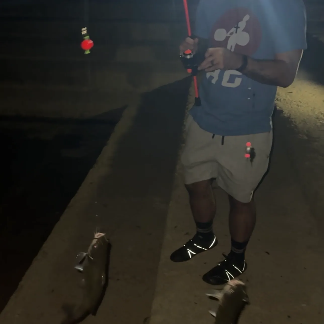 Channel catfish caught on Fishbrain