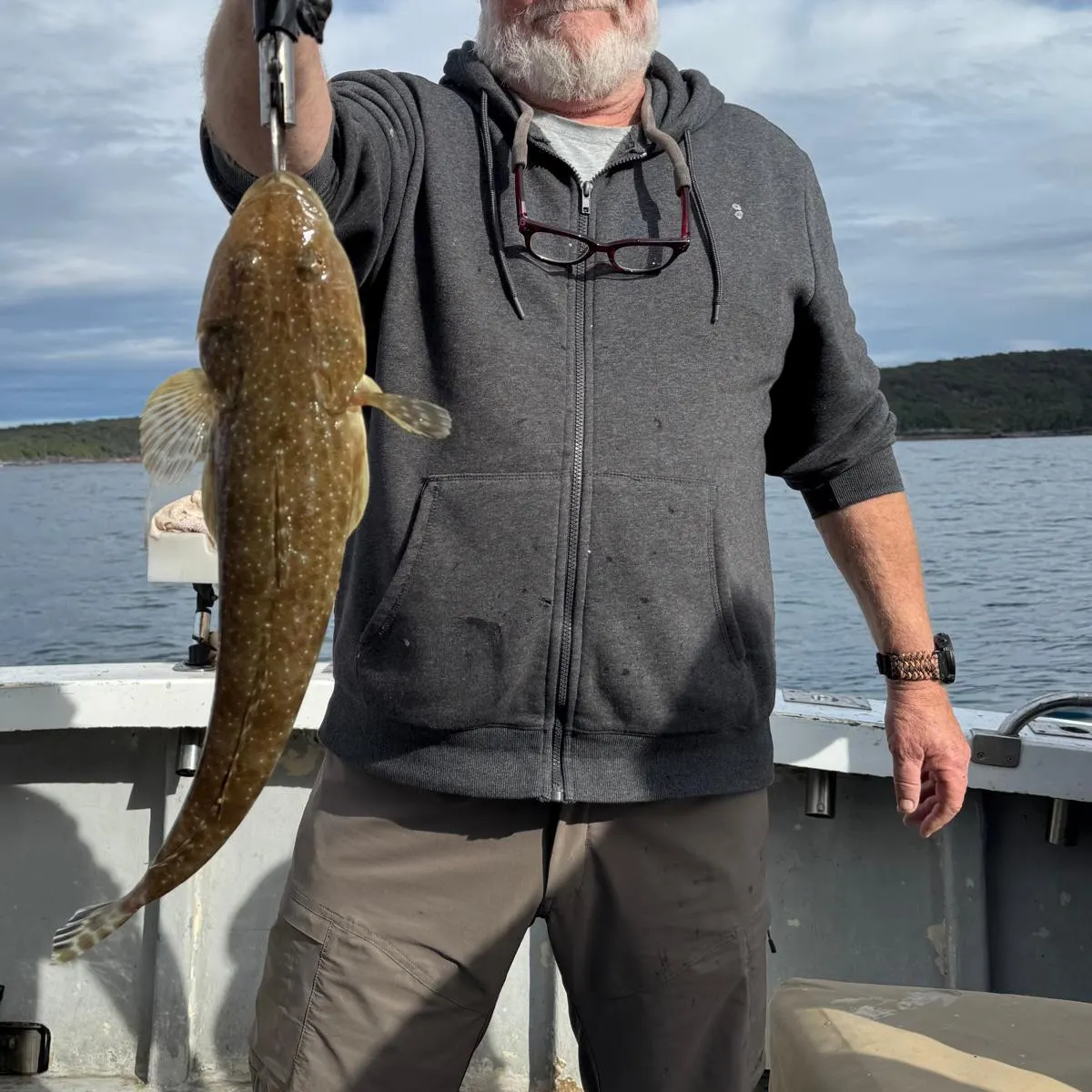 The most recent Tiger flathead catches on Fishbrain