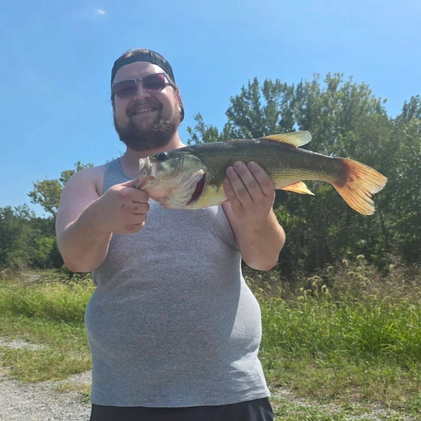 Largemouth bass caught on Fishbrain