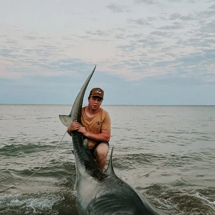 The most popular recent Tiger shark catch on Fishbrain