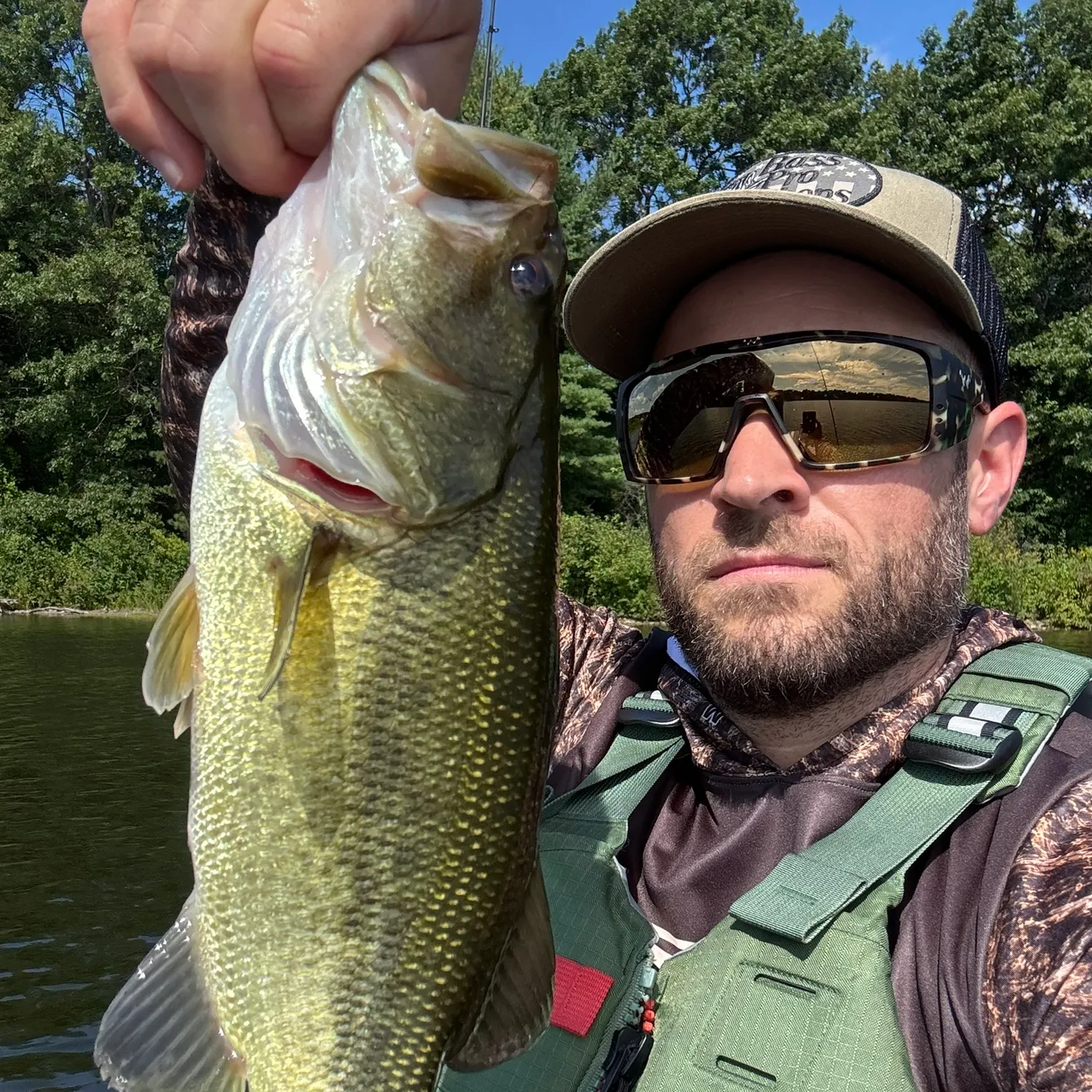 Largemouth bass caught on Fishbrain