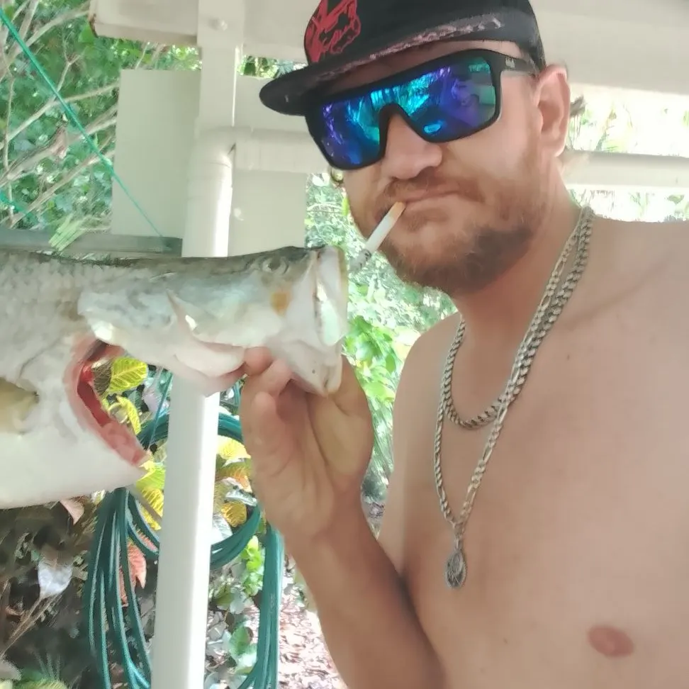 The most recent Barramundi catches on Fishbrain