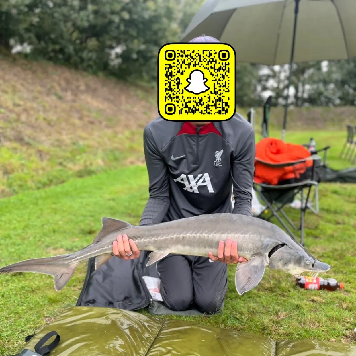 Siberian sturgeon caught on Fishbrain
