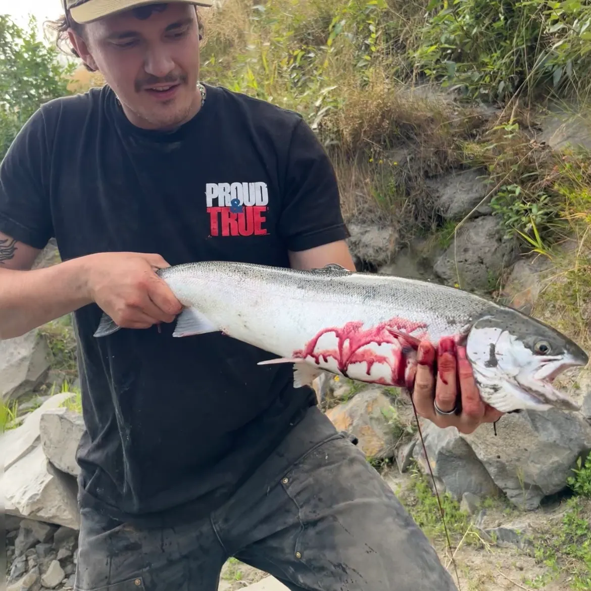 The most recent Steelhead catches on Fishbrain