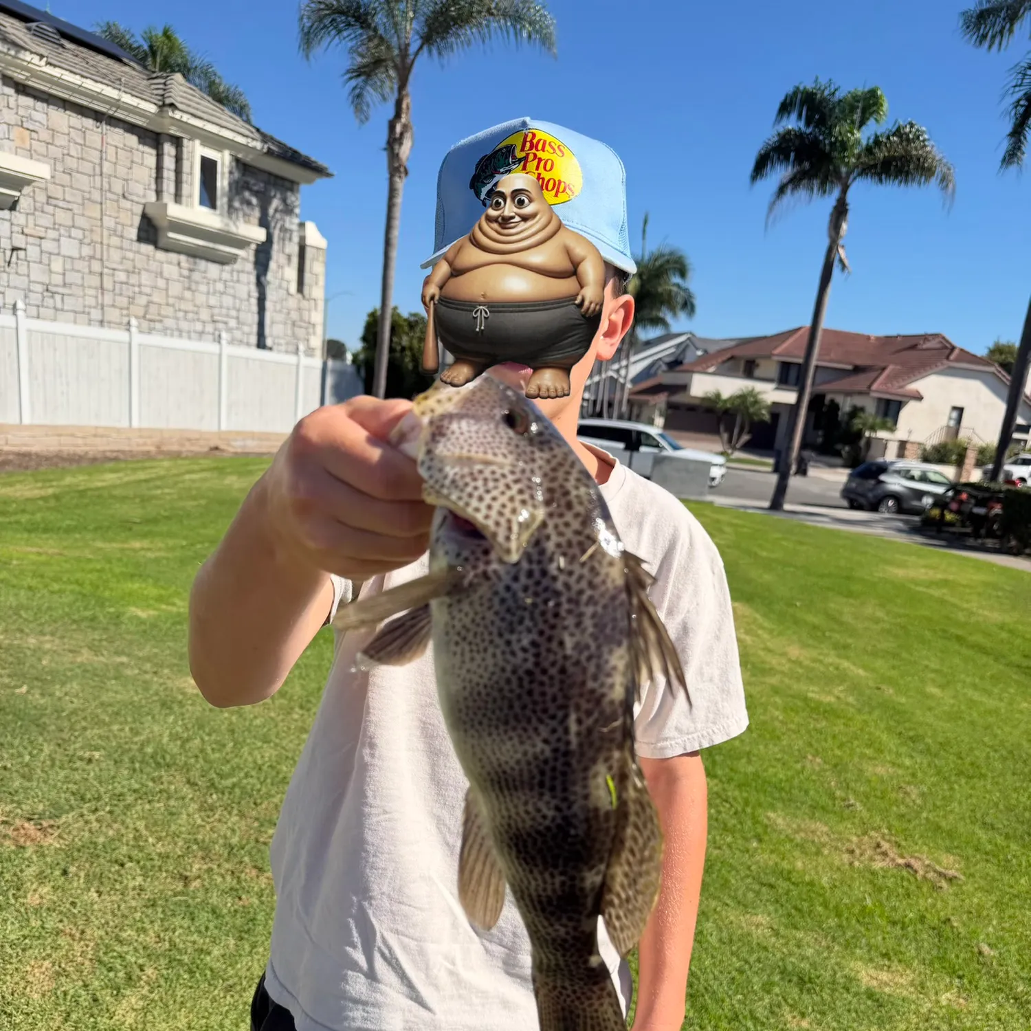Spotted sand bass caught on Fishbrain