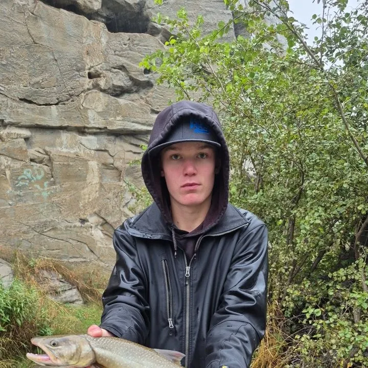 Bull trout caught on Fishbrain