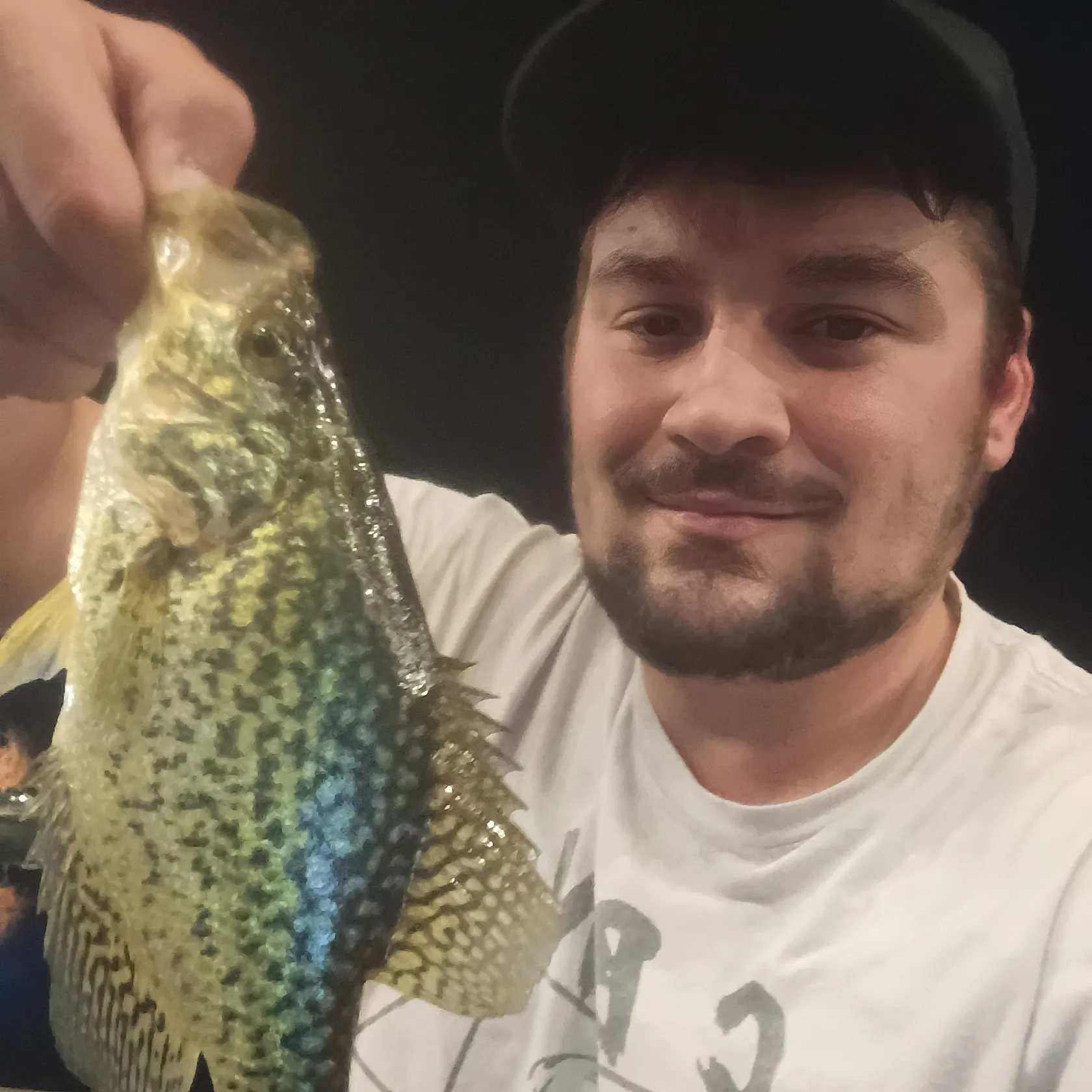 Black crappie caught on Fishbrain
