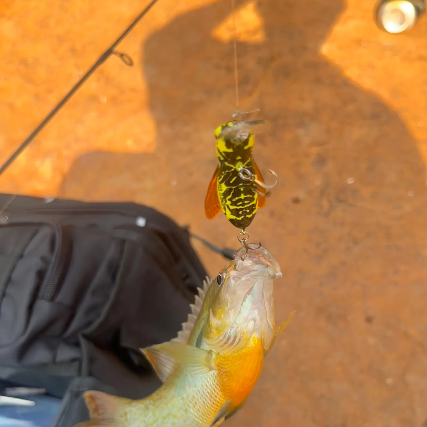 catch