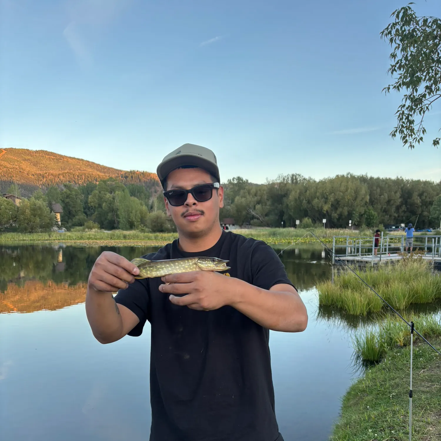 Northern pike caught on Fishbrain