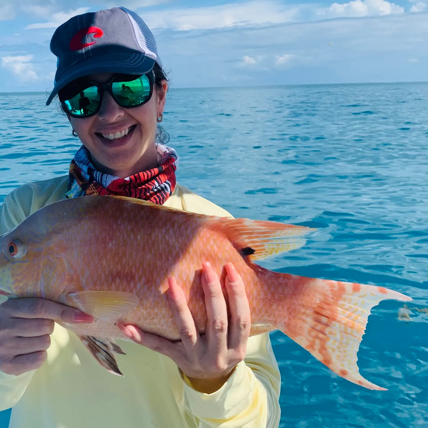 The most popular recent Hogfish catch on Fishbrain