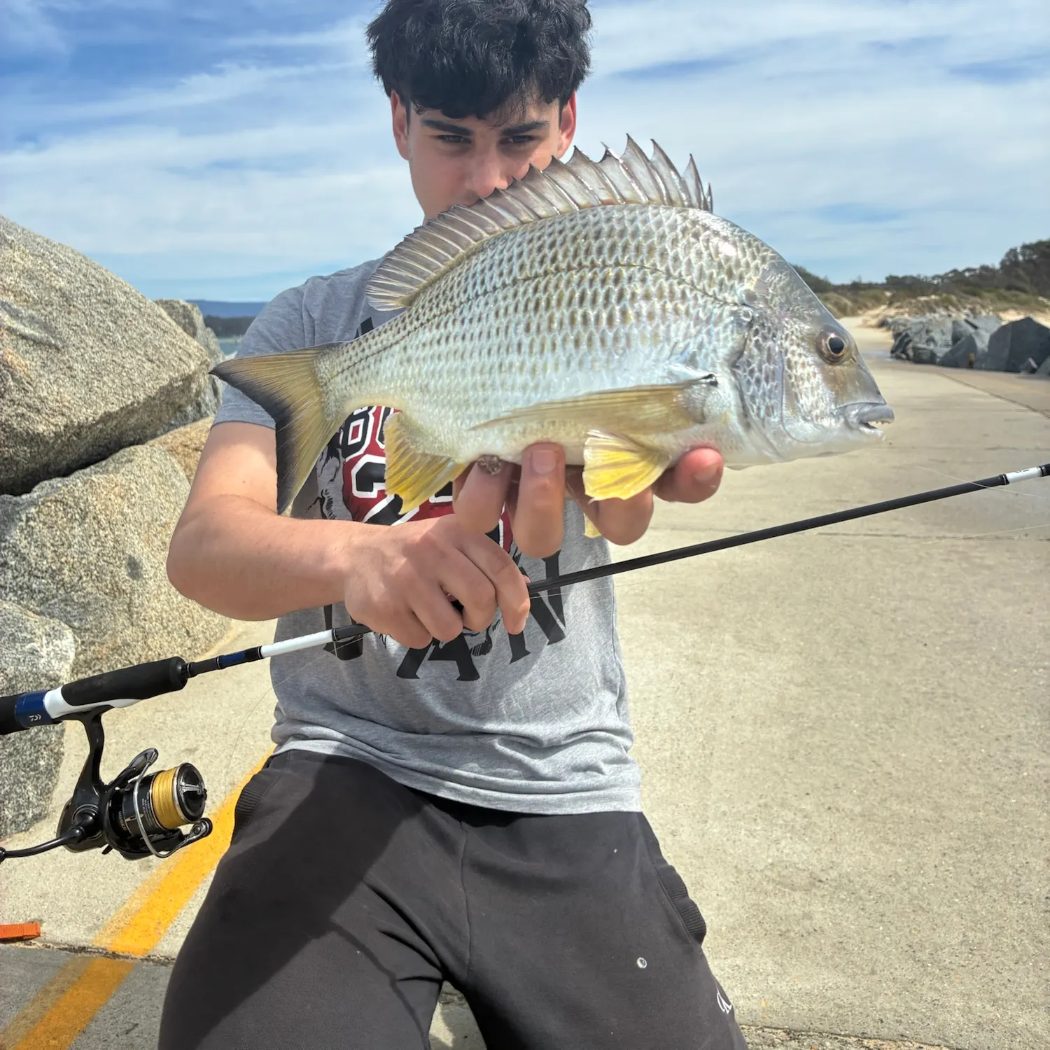 Surf bream caught on Fishbrain