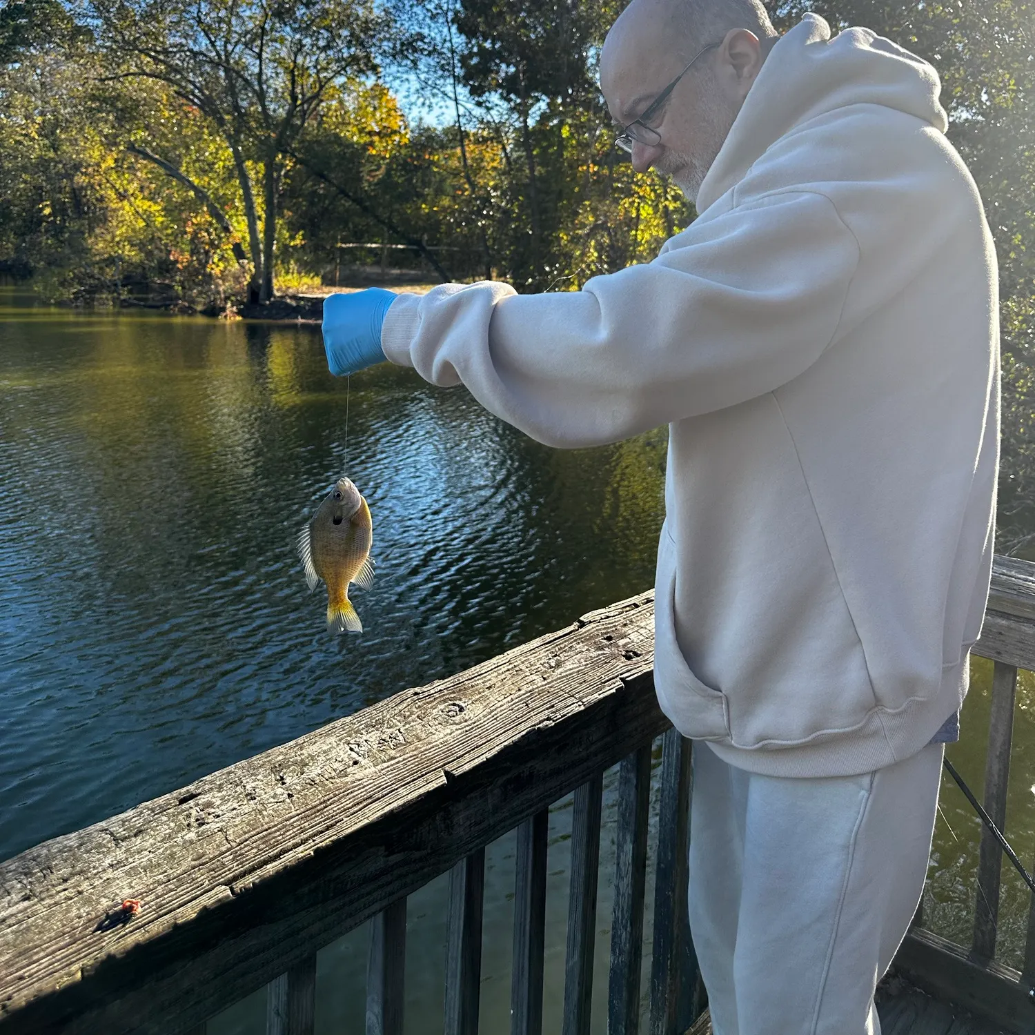 Bluegill caught on Fishbrain