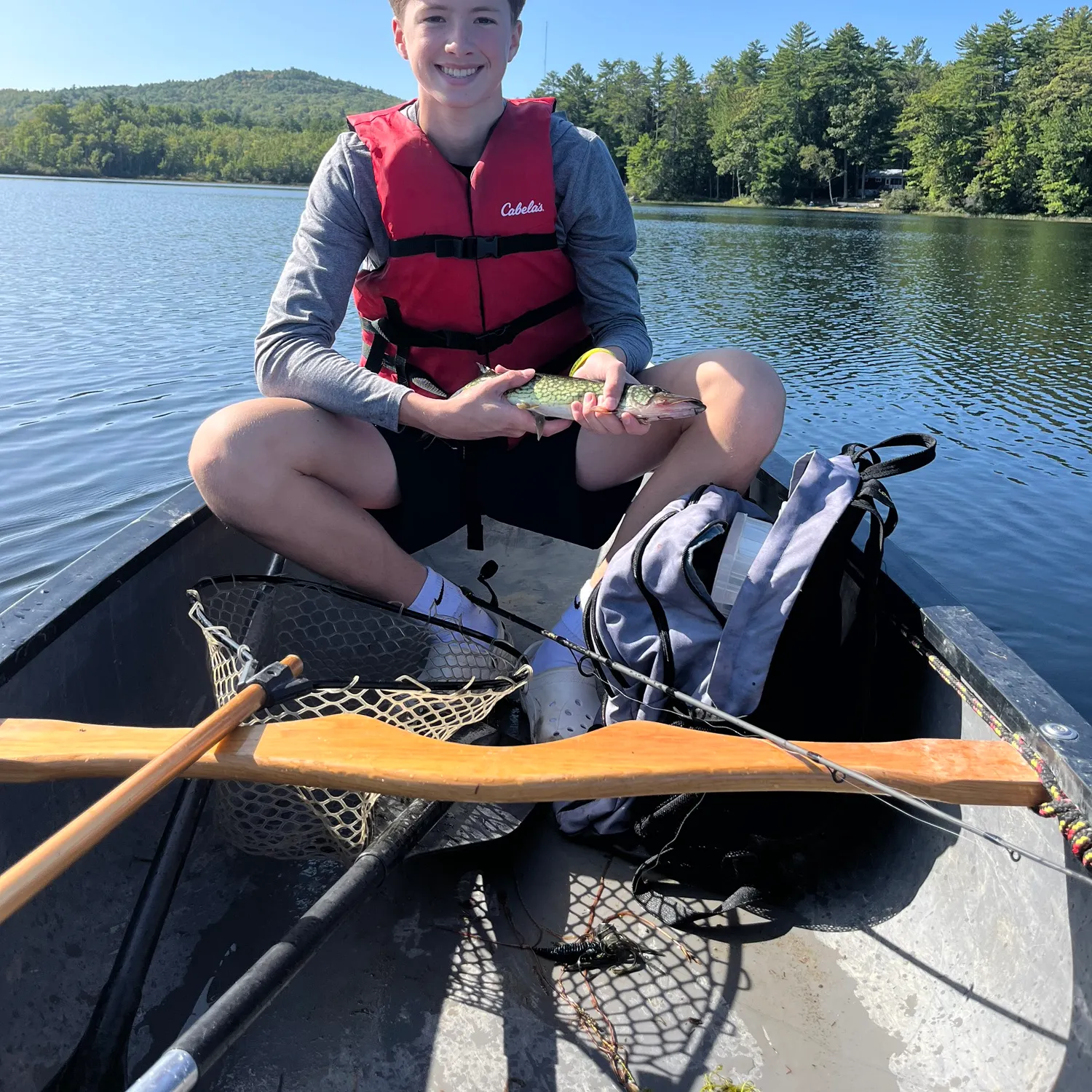Chain pickerel caught on Fishbrain