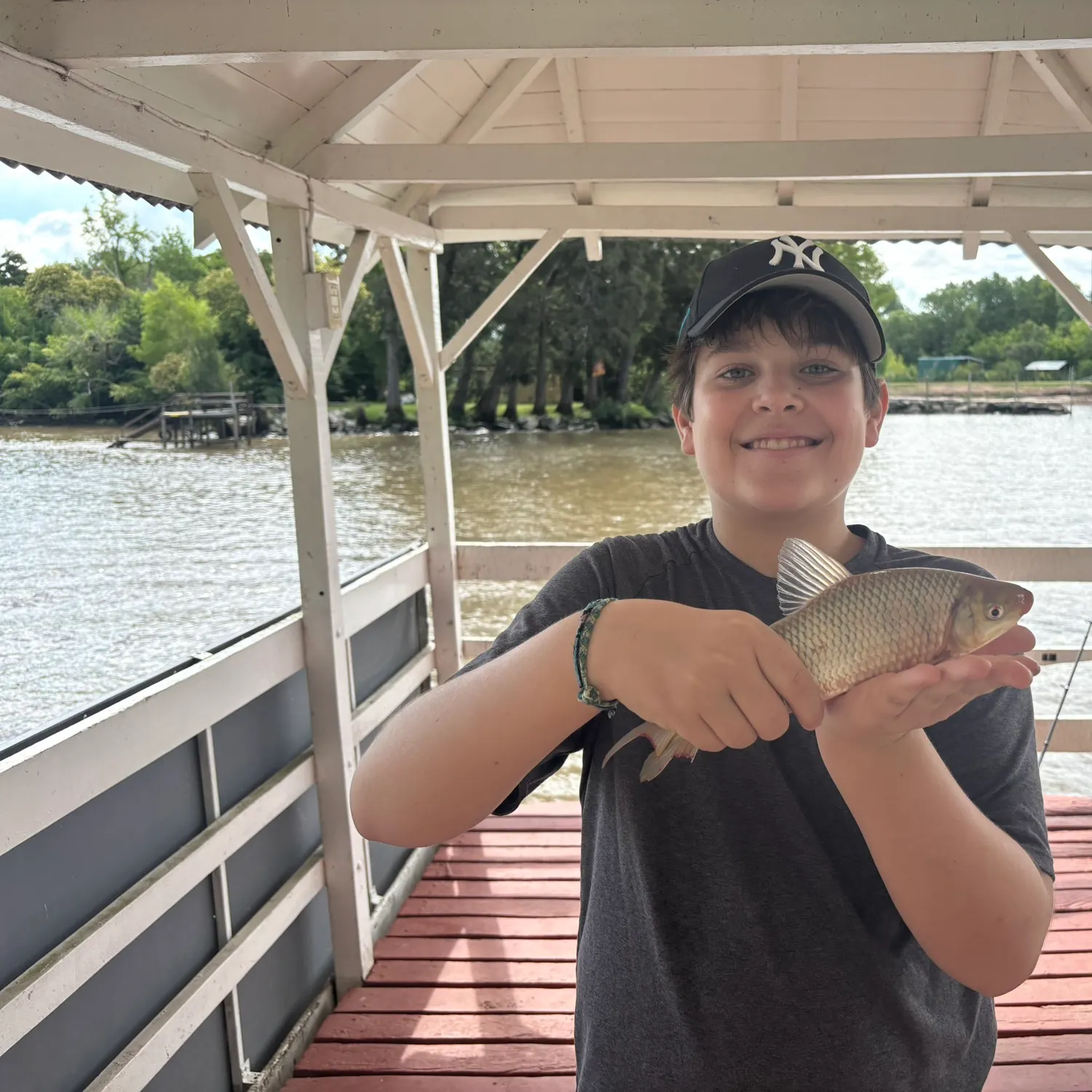 The most recent Boga catches on Fishbrain