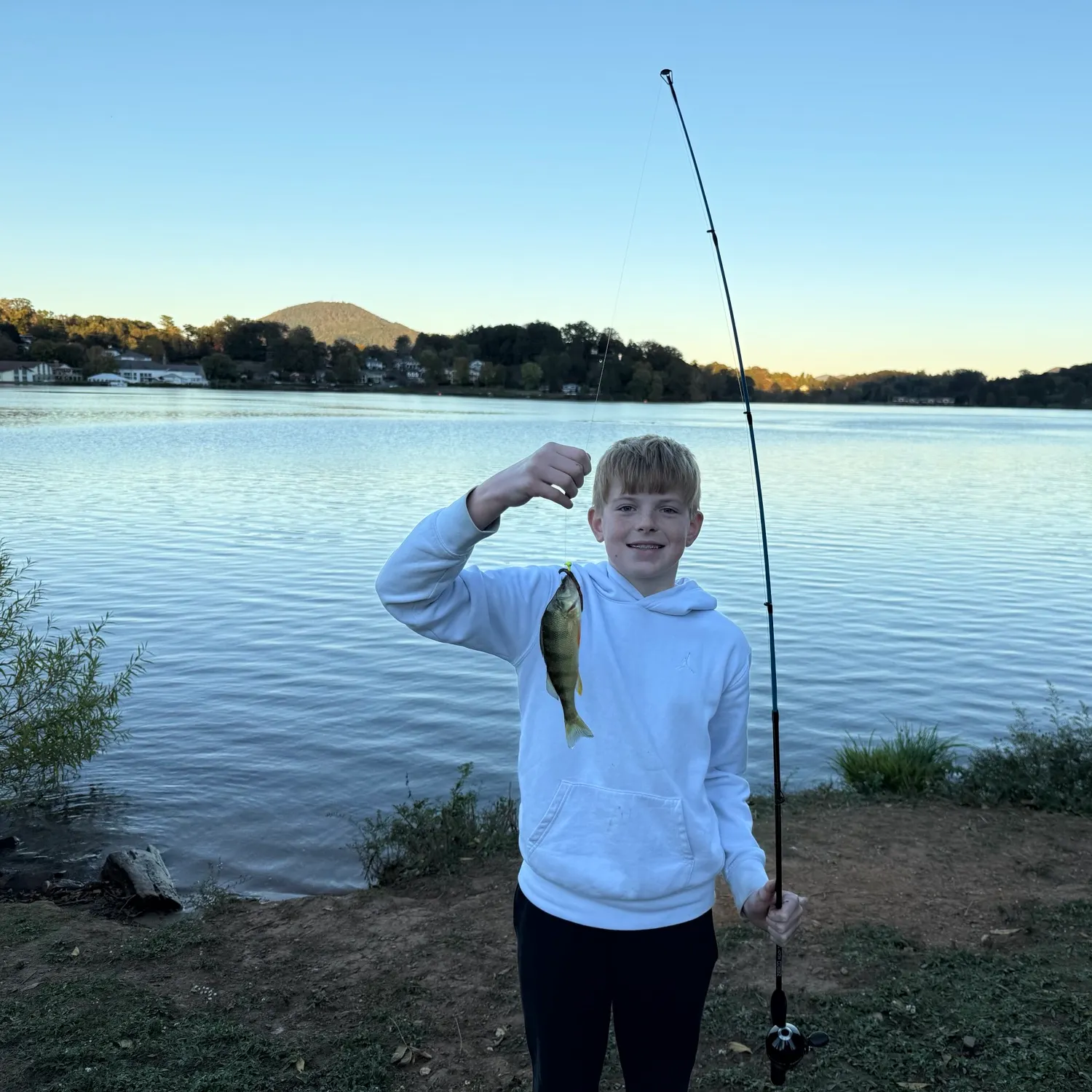 Yellow perch caught on Fishbrain