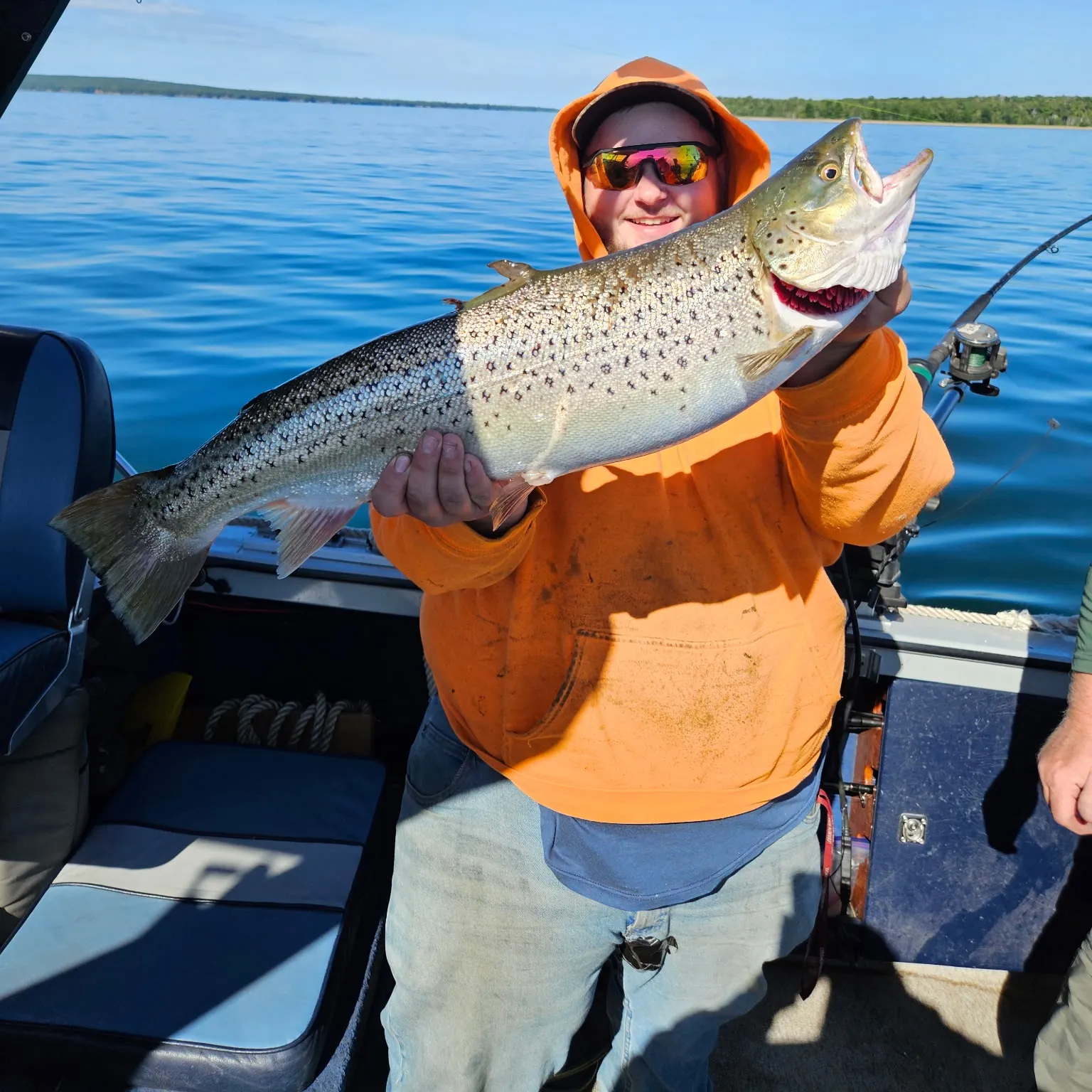 The most recent Sea trout catches on Fishbrain