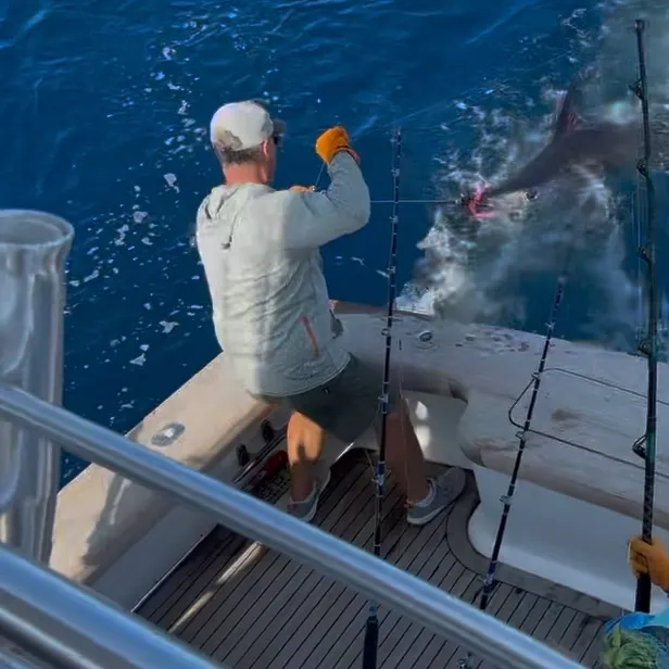 The most recent Indo-Pacific blue marlin catches on Fishbrain