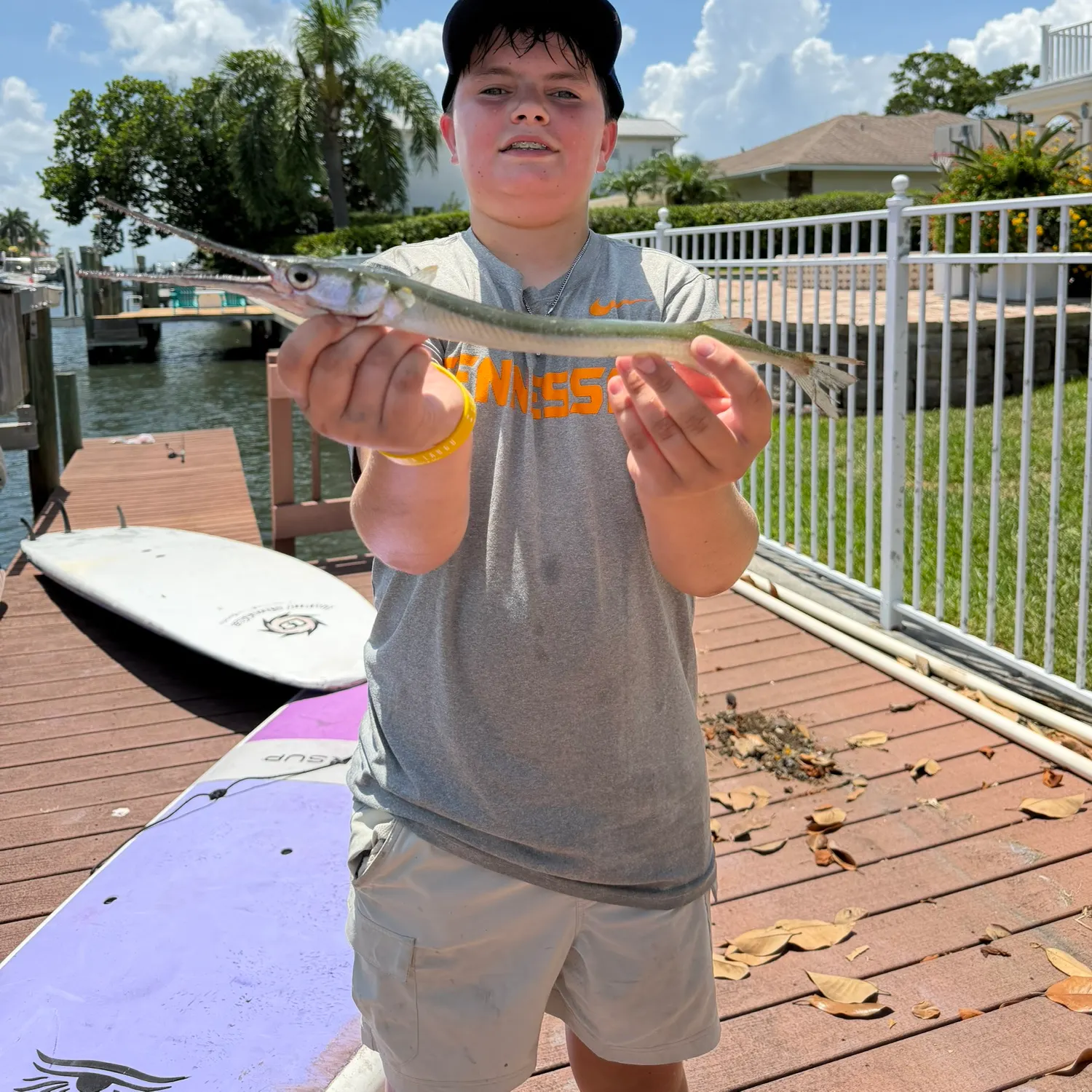 The most recent Redfin needlefish catches on Fishbrain
