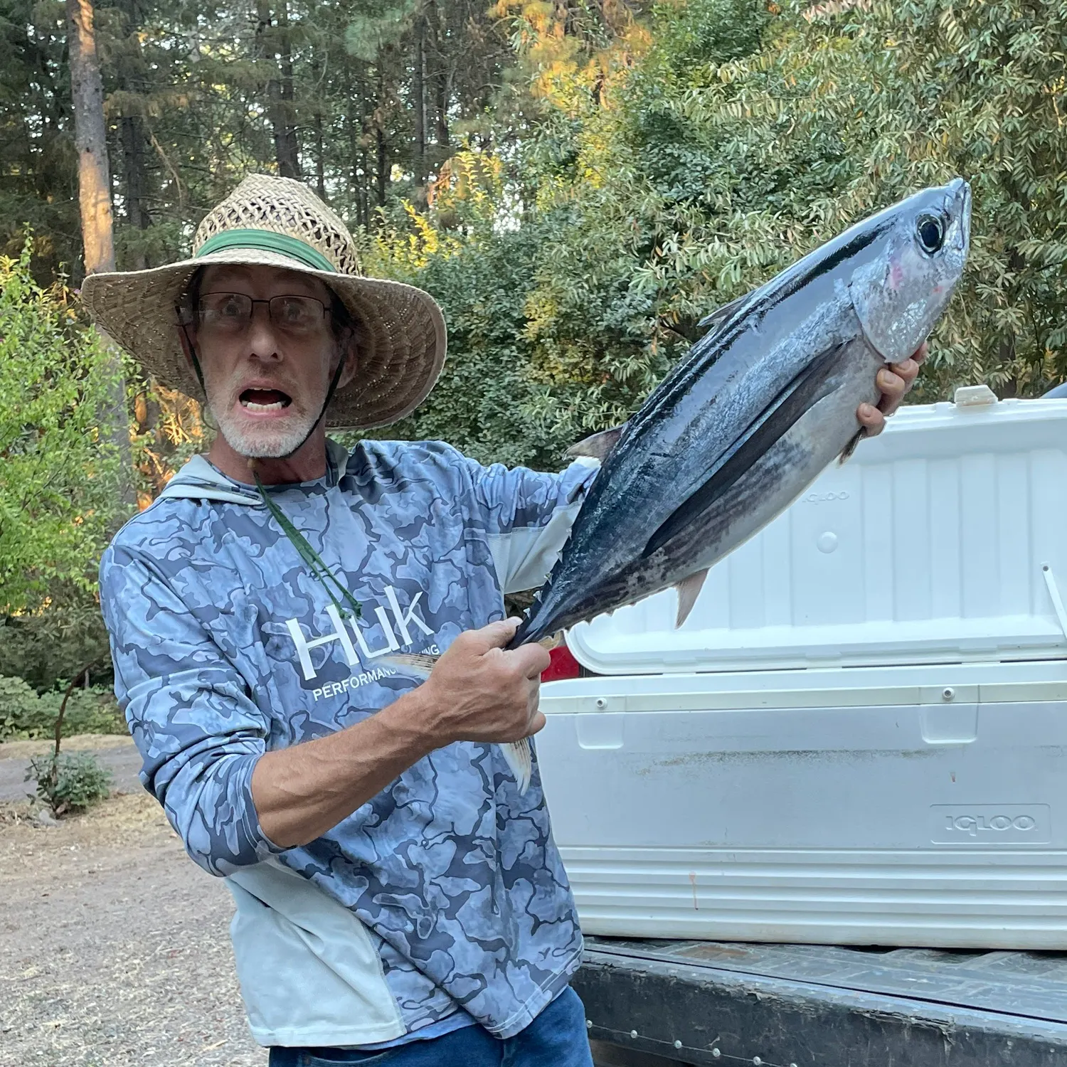 The most recent Albacore catches on Fishbrain