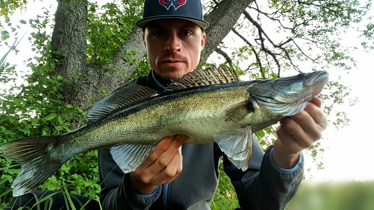 Post image from JPsson