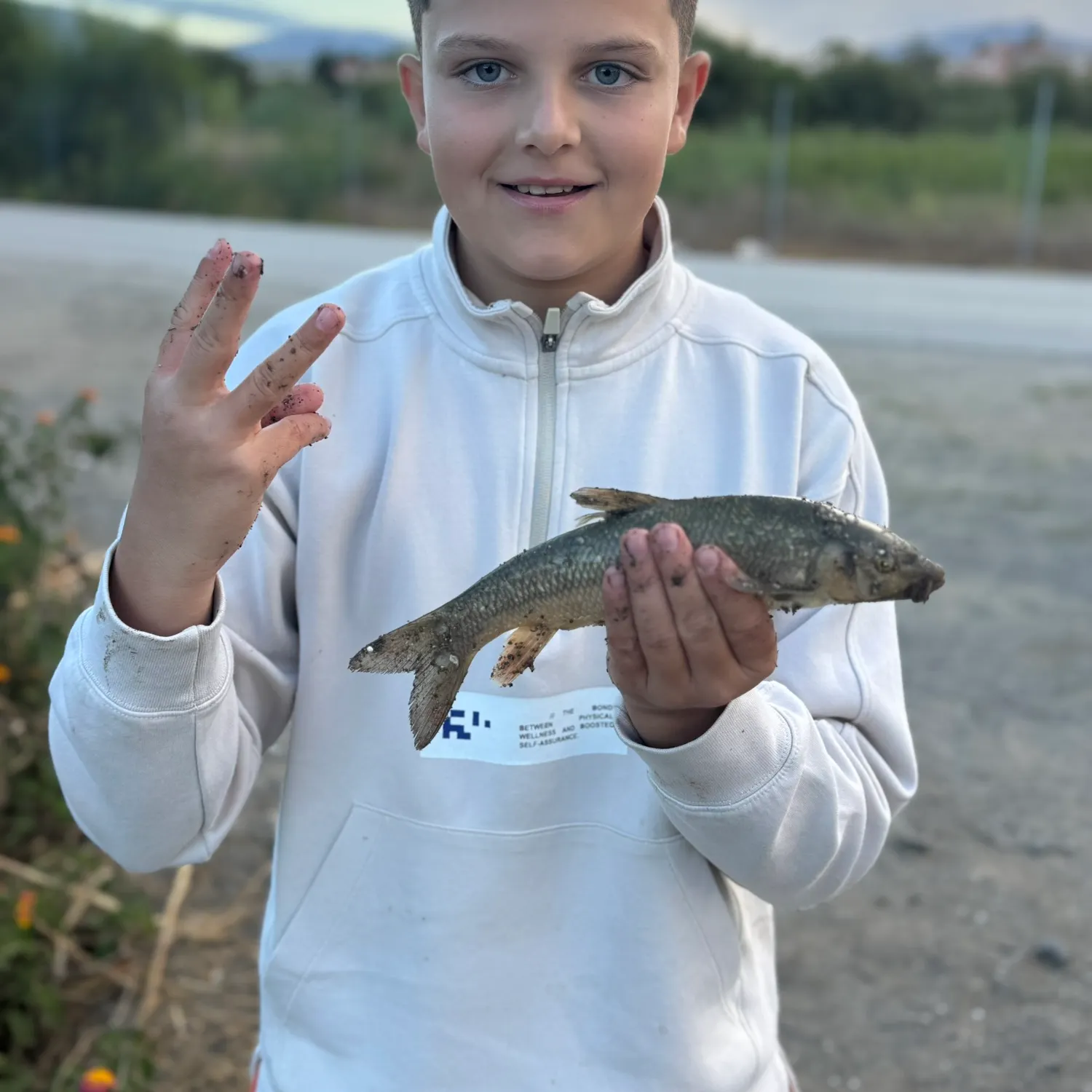 Andalusian barbel caught on Fishbrain