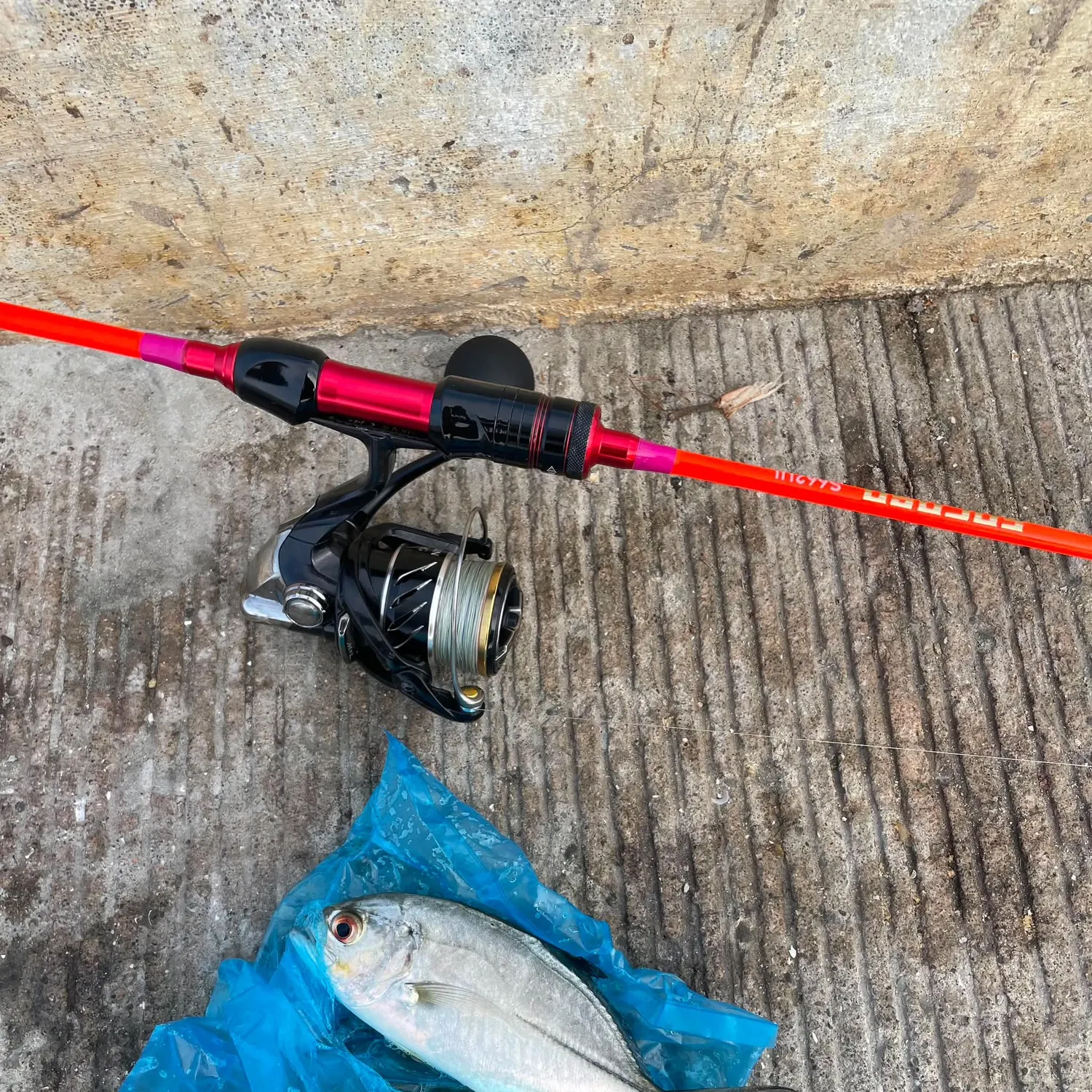 Giant trevally caught on Fishbrain
