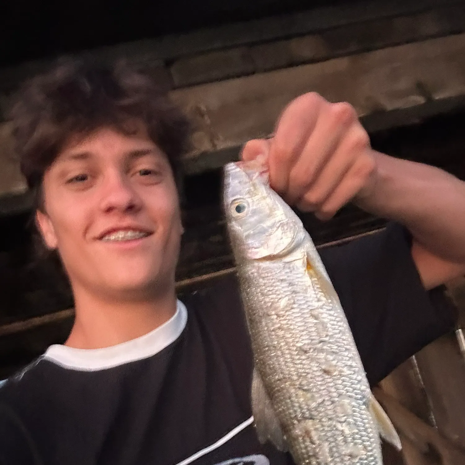 The most recent West Atlantic bonefish catches on Fishbrain