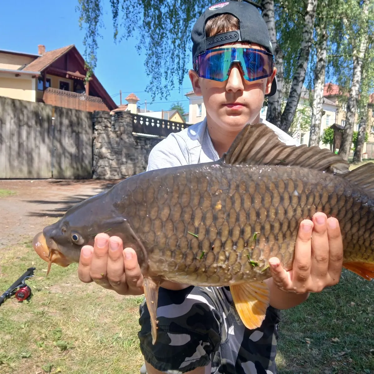 Common carp caught on Fishbrain