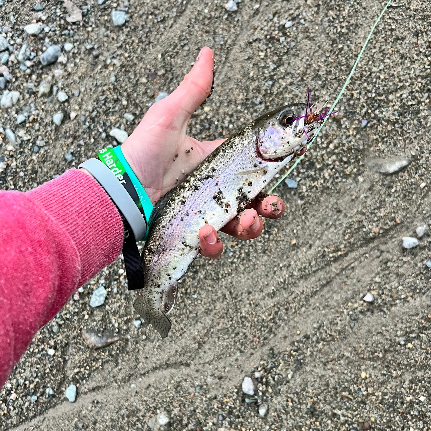 recently logged catches