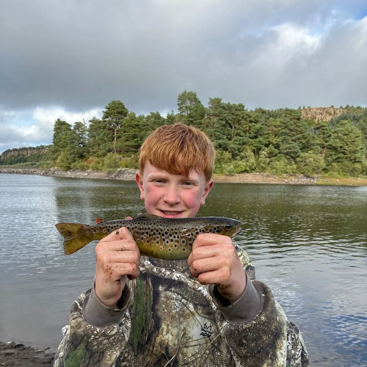 Brown trout caught on Fishbrain