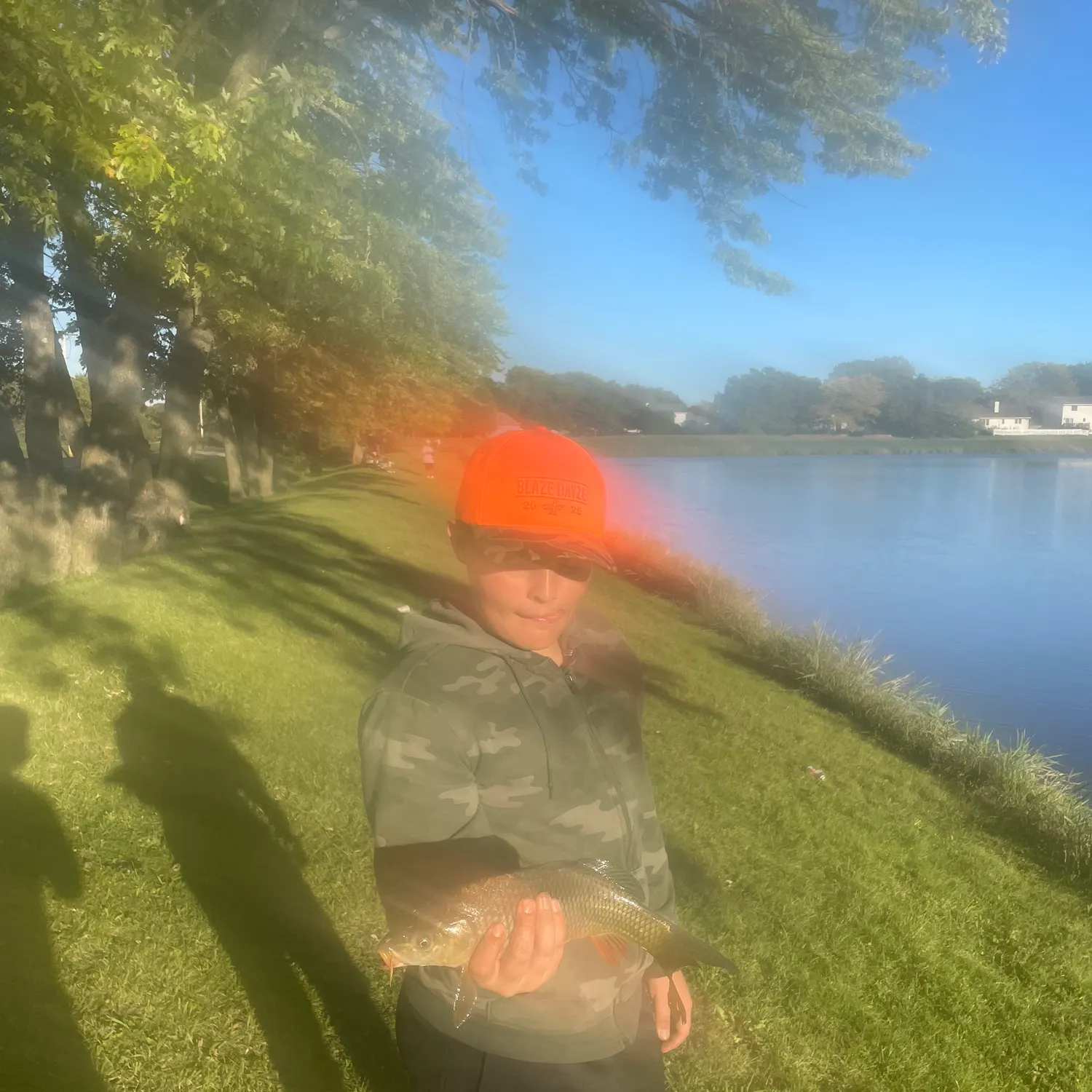 Common carp caught on Fishbrain