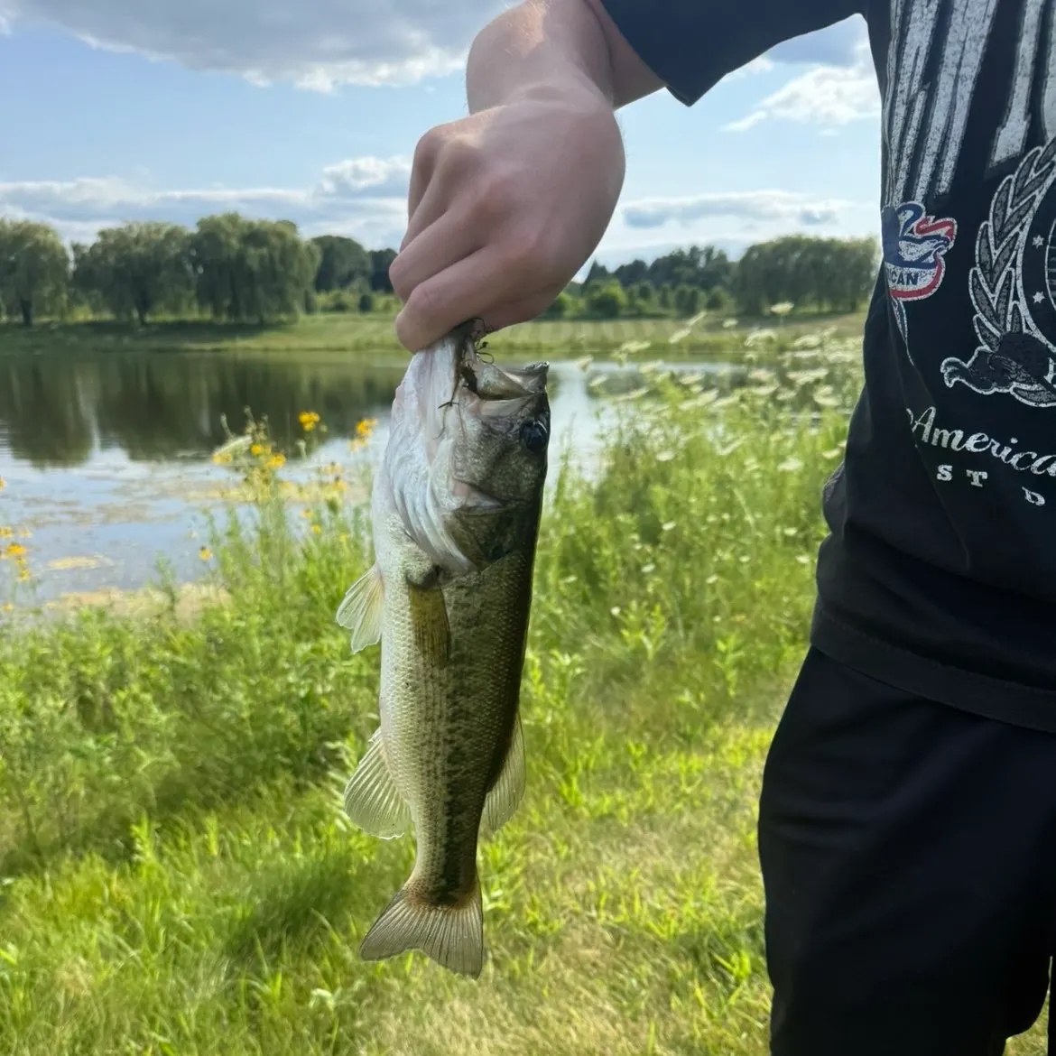 Largemouth bass caught on Fishbrain