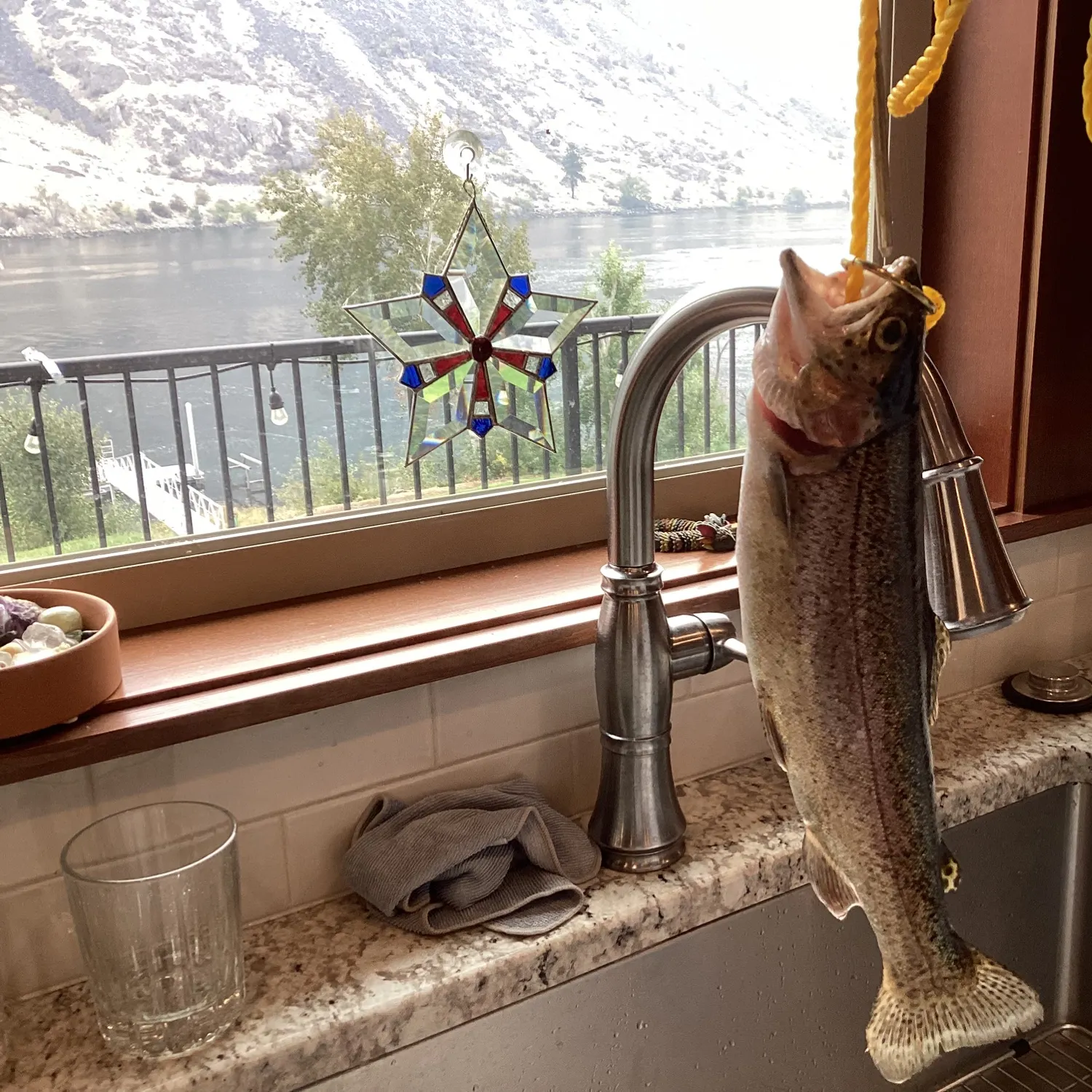 The most recent Coastal cutthroat trout catches on Fishbrain