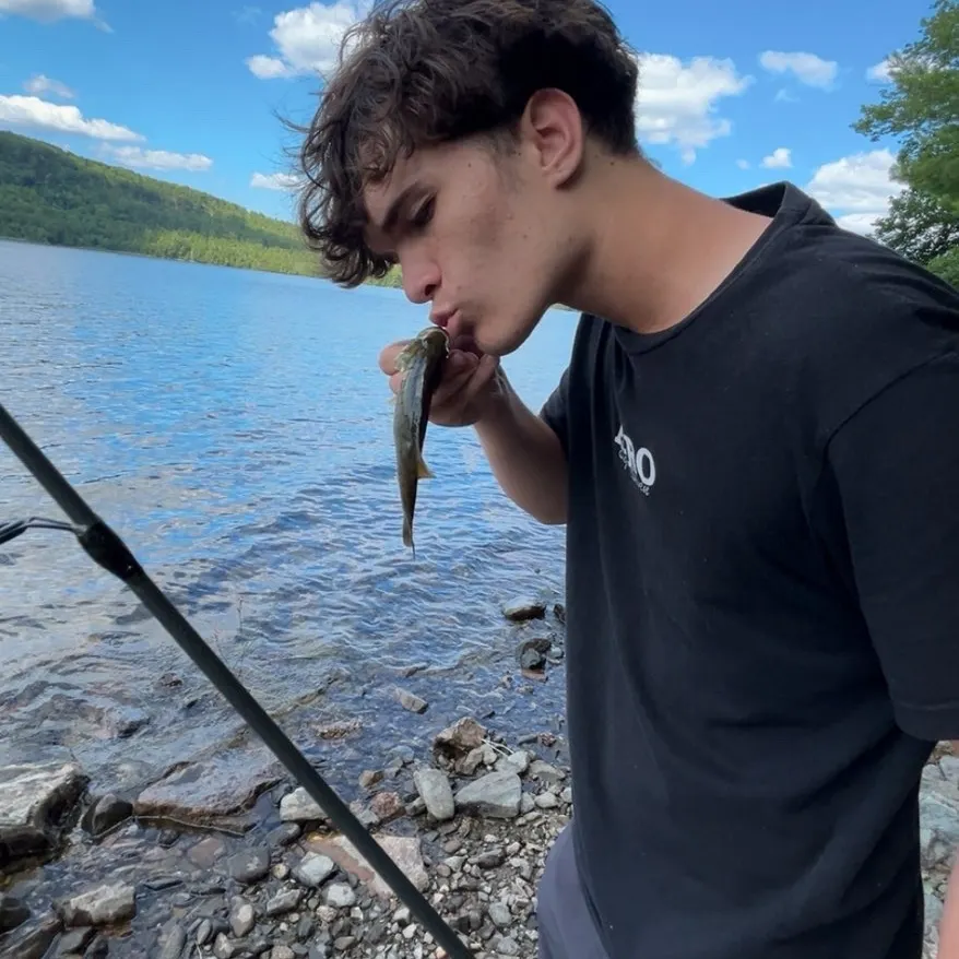 Smallmouth bass caught on Fishbrain