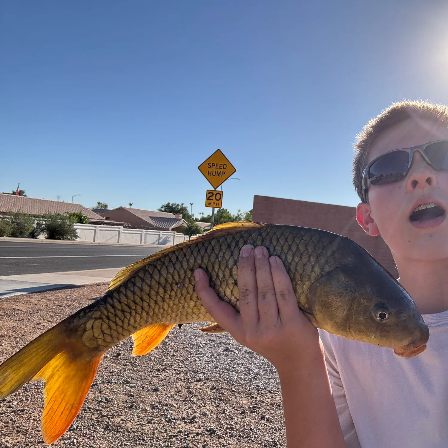 catch