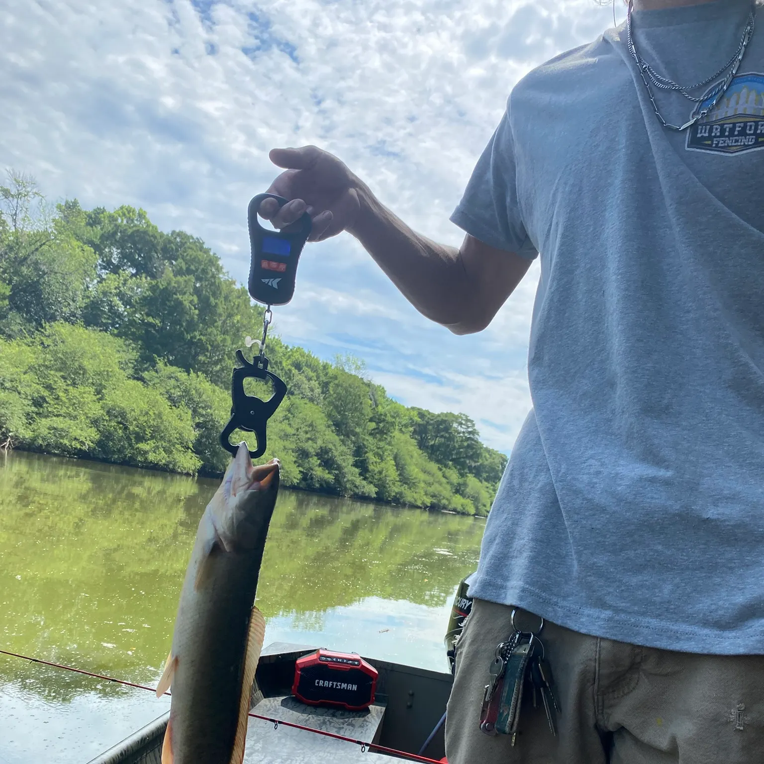 recently logged catches
