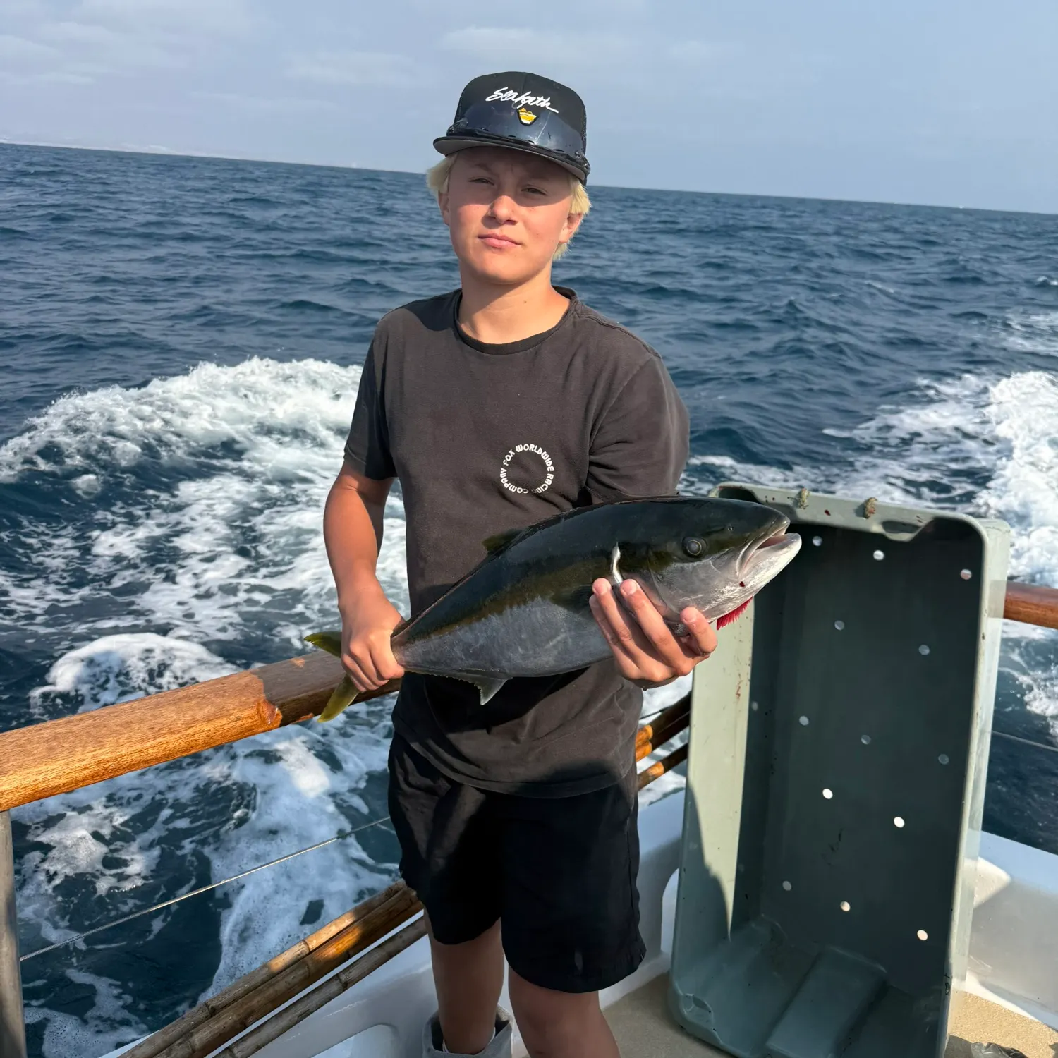 The most recent California yellowtail amberjack catches on Fishbrain