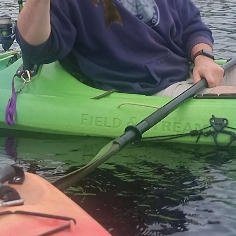 Smallmouth bass caught on Fishbrain