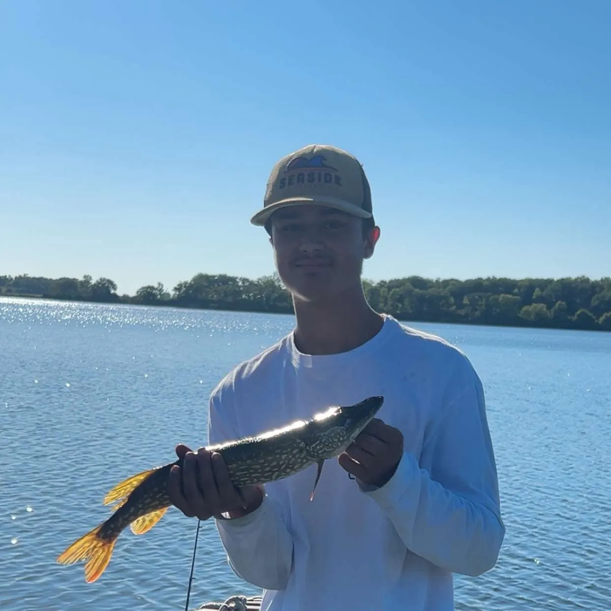 Northern pike caught on Fishbrain