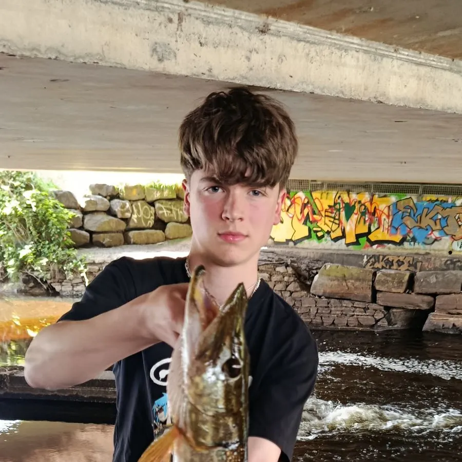 Northern pike caught on Fishbrain