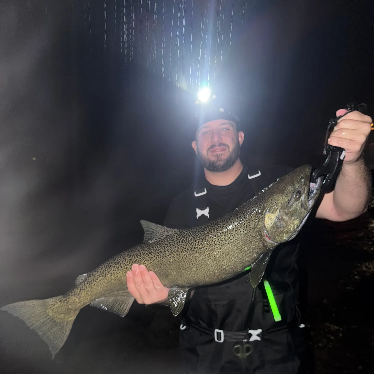 Chinook salmon caught on Fishbrain