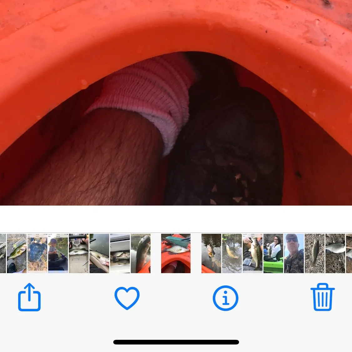 recently logged catches